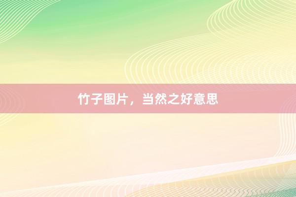 竹子图片，当然之好意思